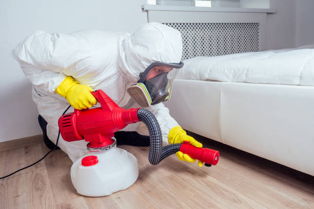 Best Bed Bug Extermination  in Kurtistown, HI