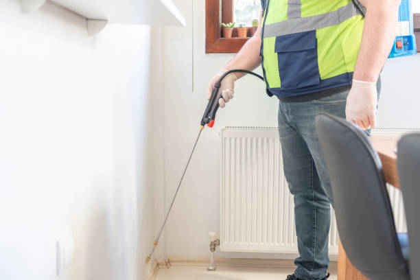 Best Best Pest Control Companies  in Kurtistown, HI
