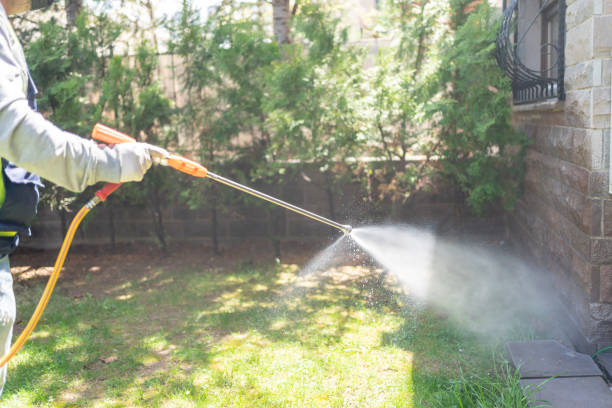 Best Residential Pest Control  in Kurtistown, HI