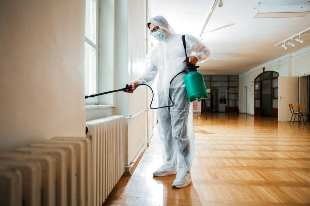 Best Pest Prevention Services  in Kurtistown, HI