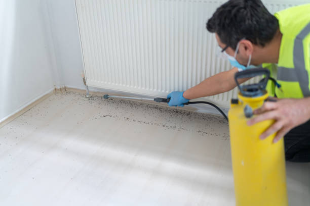 Reliable Kurtistown, HI Pest Control Solutions
